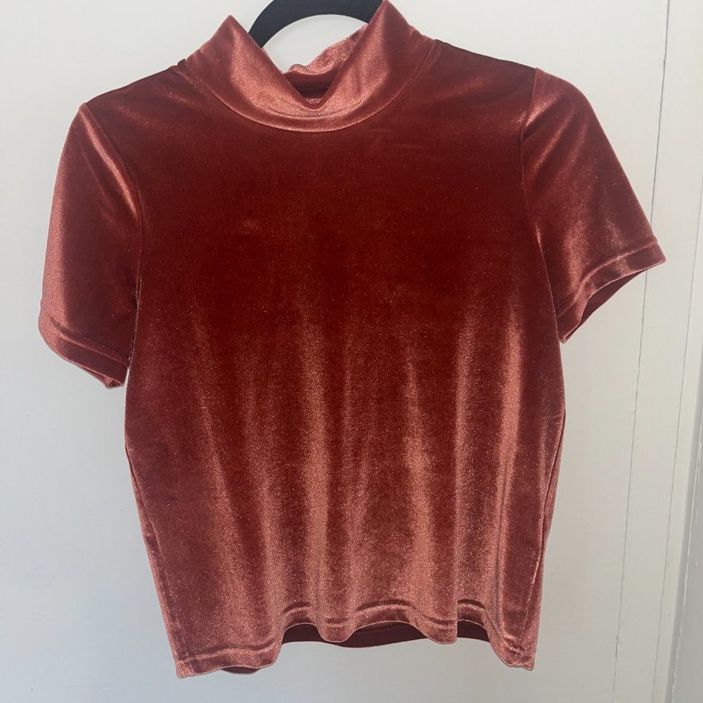 velvet turtleneck shortsleeved shirt from madewell